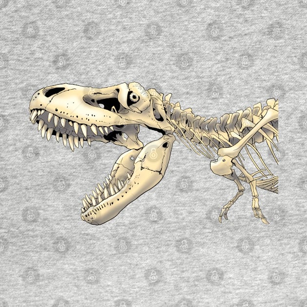 Dinosaur Tarbosaurus Skeleton by Naturascopia